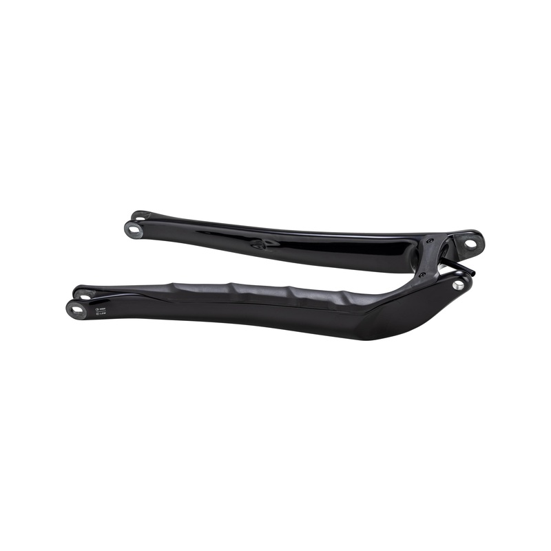 CHS MY25 Carbon Chain Stay Specialized SJ 15 12X148mm Glossy Black