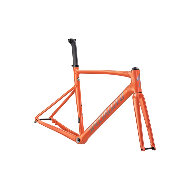 Allez Sprint Frameset Specialized 2023 Gloss Cactus Bloom/Holographic Foil