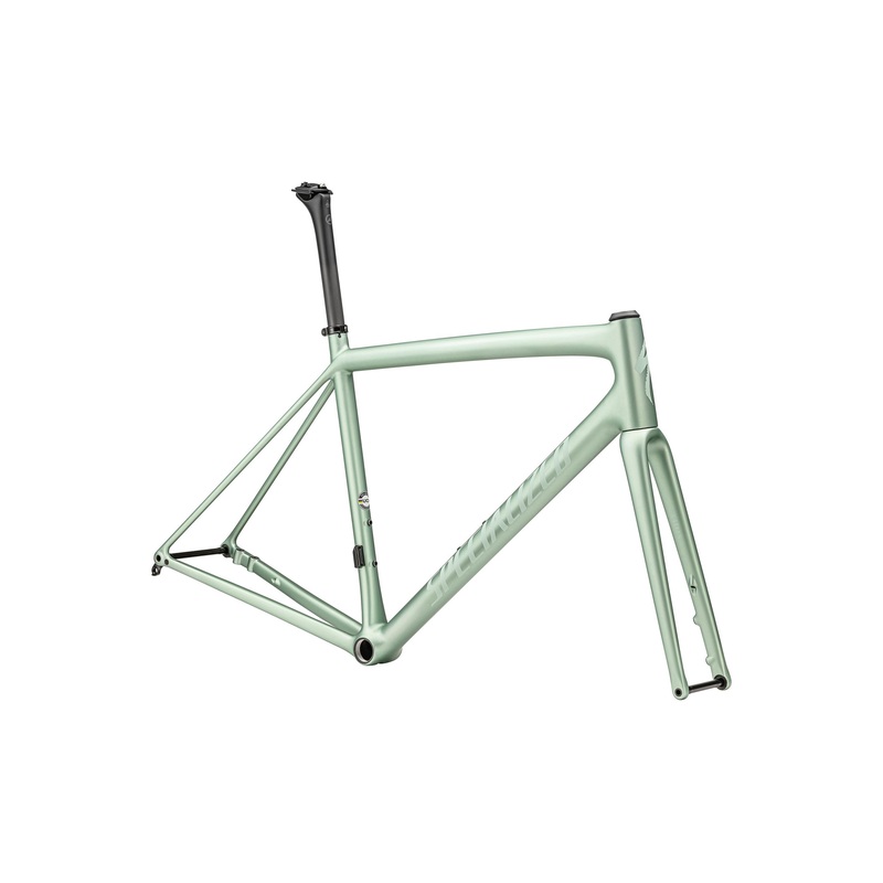 Aethos Frameset Specialized 2023 Satin Metallic White Sage/White Sage