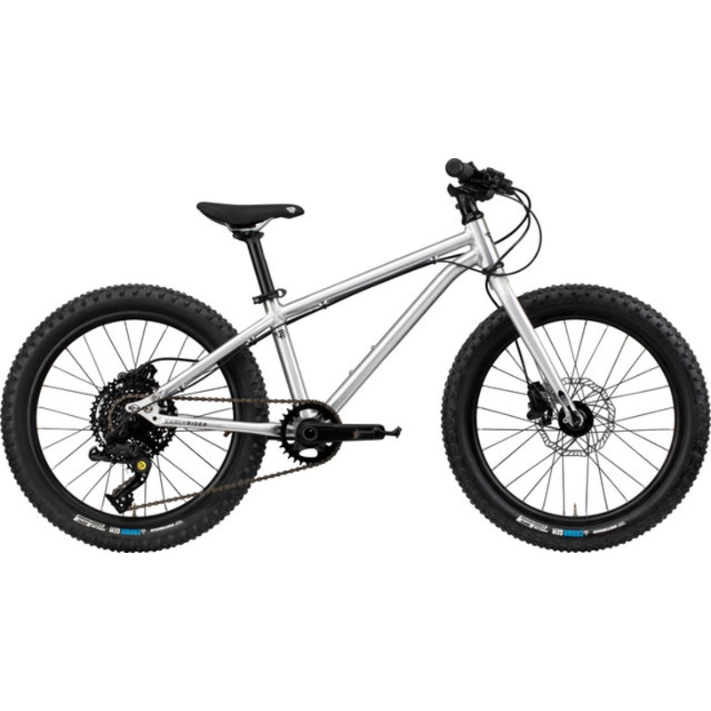EARLY RIDER Seeker 20″ Kids Bike