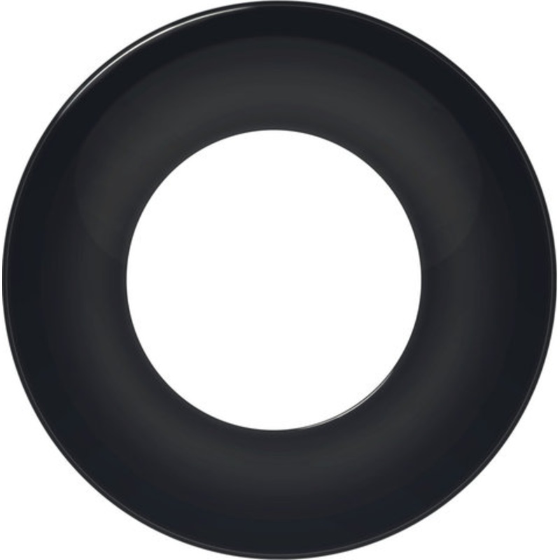 Hebie E-Bike-Ring for Chainguard 317