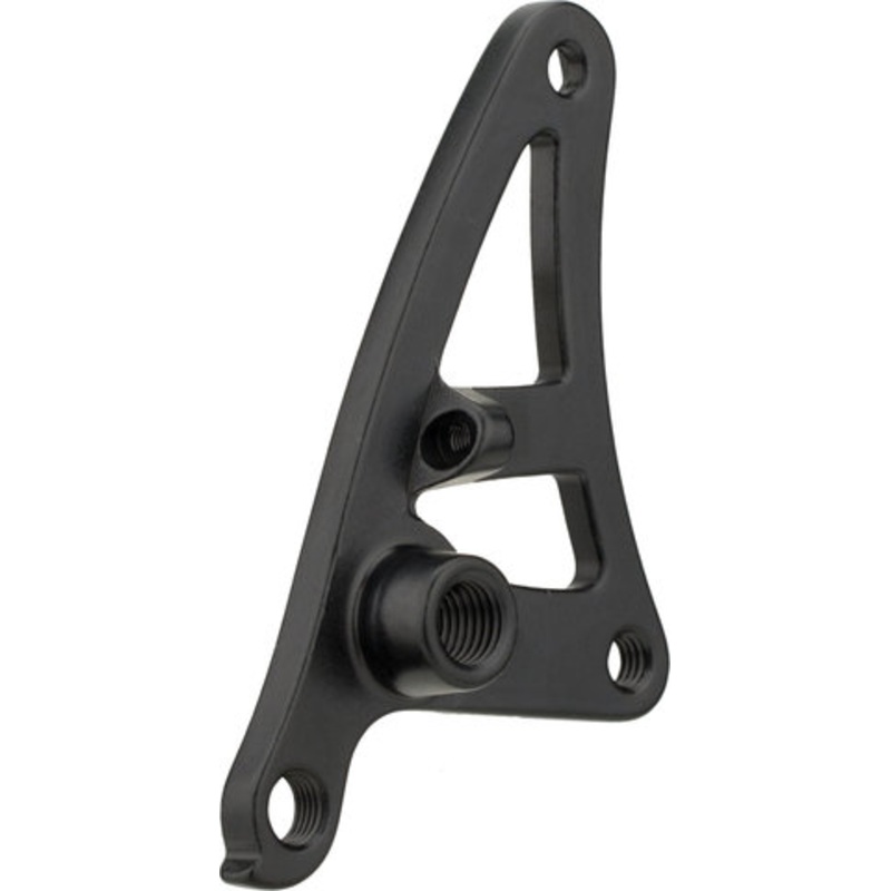 Salsa Alternator Swing Plate Right Thru-Axle Dropout