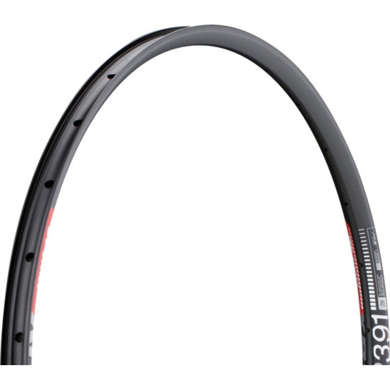 DT Swiss XR 391 Disc 29″ Rim
