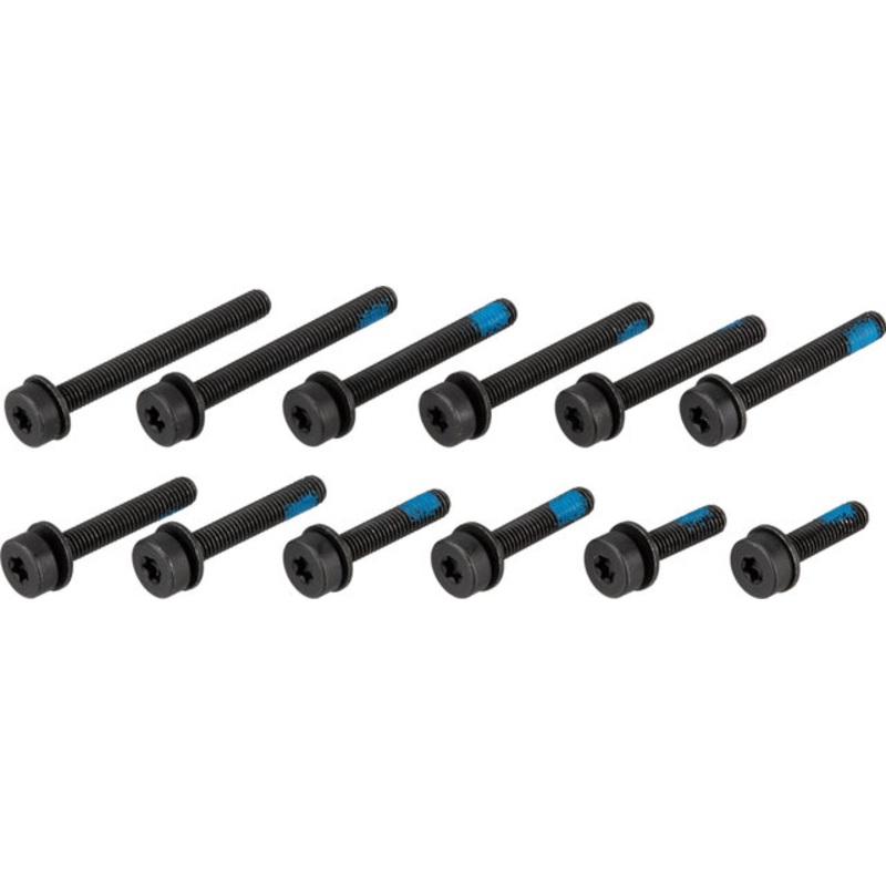 Magura Flat Mount Bolt Set