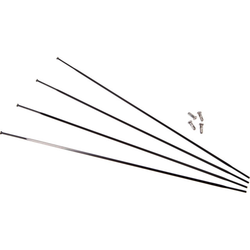 Campagnolo Zonda Spare Spokes Model 2013-2016
