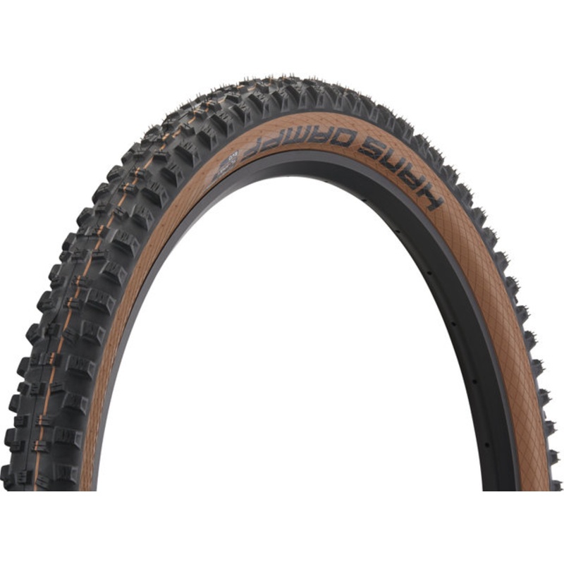 Schwalbe Hans Dampf Evolution ADDIX Soft Super Trail 29  Folding Tyre