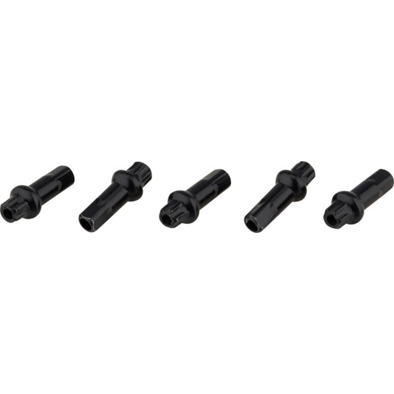 DT Swiss Pro Lock Squorx Pro Head 2.0mm Brass- 5 pcs.