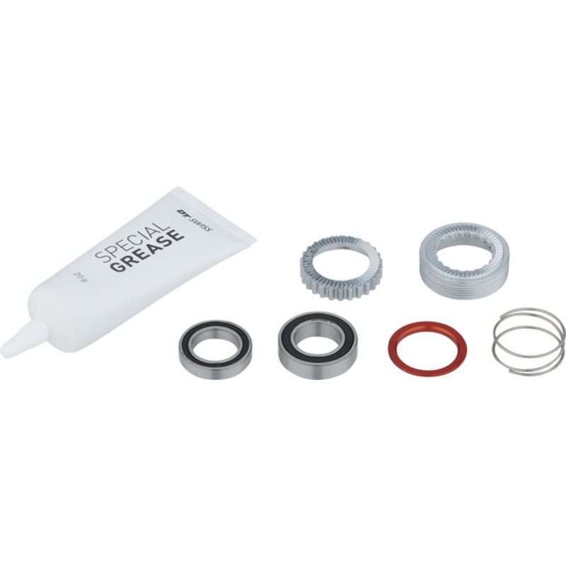 DT Swiss 180 EXP Freehub Maintenance Kit