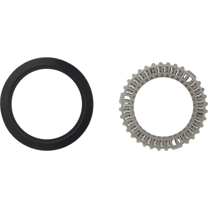Zipp Clutch Ratchet for Cognition V1 Gen 1 Rear Hubs