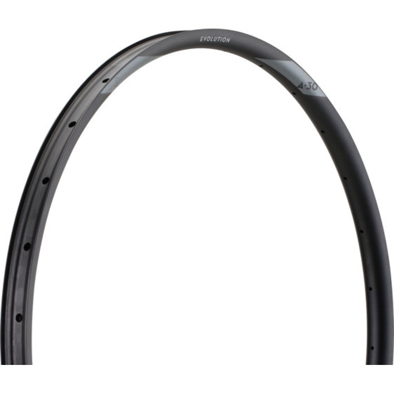 NEWMEN Evolution SL A.30 Disc 29″ Rim