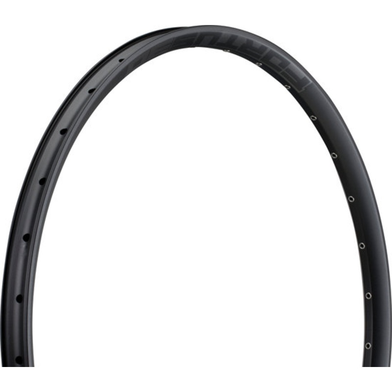 Hope Fortus 30 Disc 29″ Rim