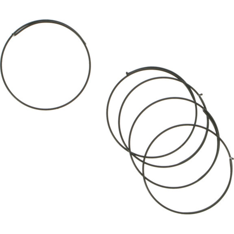 Campagnolo Pawl Springs for Record Hub / Wheels as of 1999