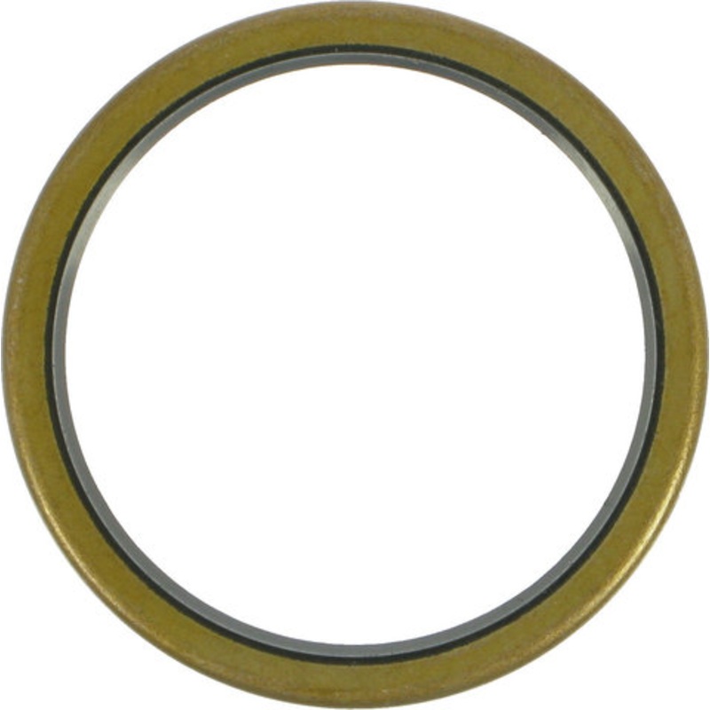 DT Swiss Hub/Freehub Seals for DT Rear Hubs as of 1998