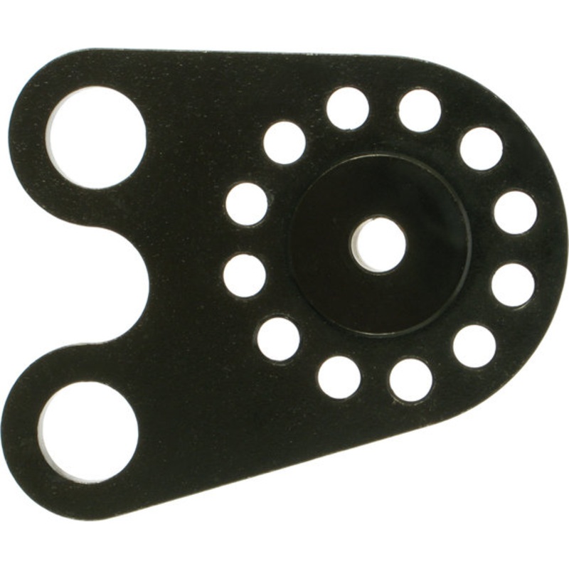 Rohloff CC Axle Plate