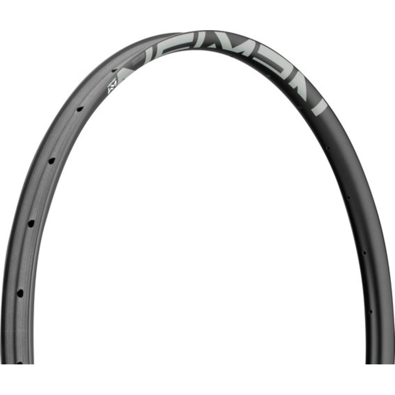 NEWMEN Advanced SL X.A.30 Disc 29″ Carbon Rim
