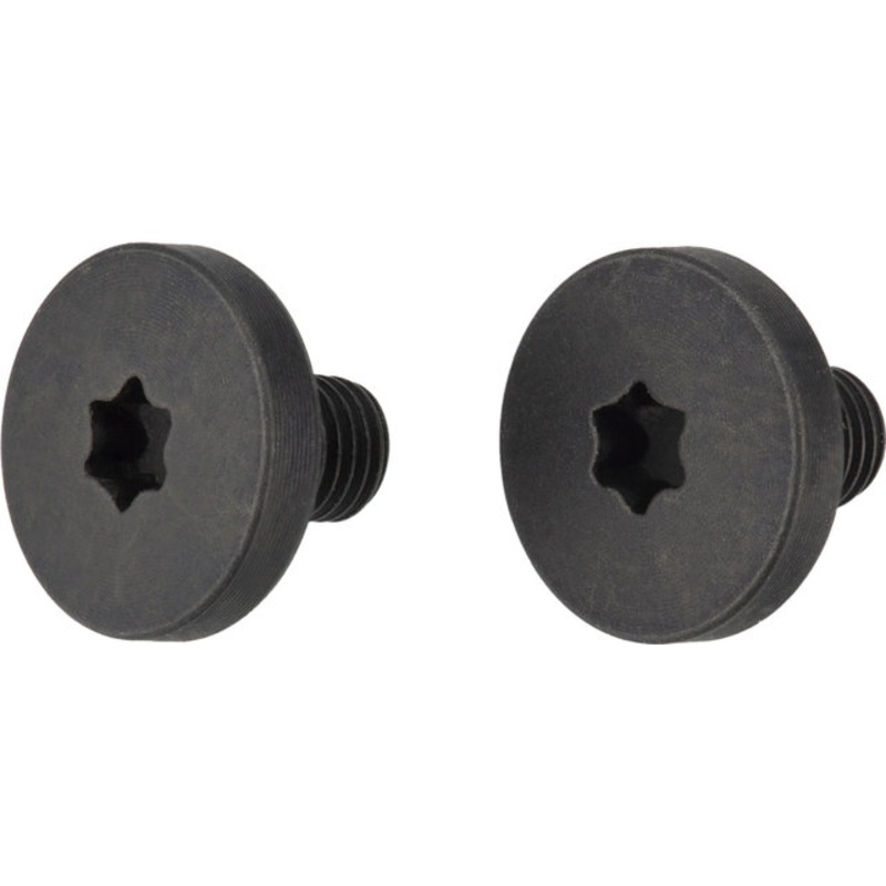 Lupine Holder screw